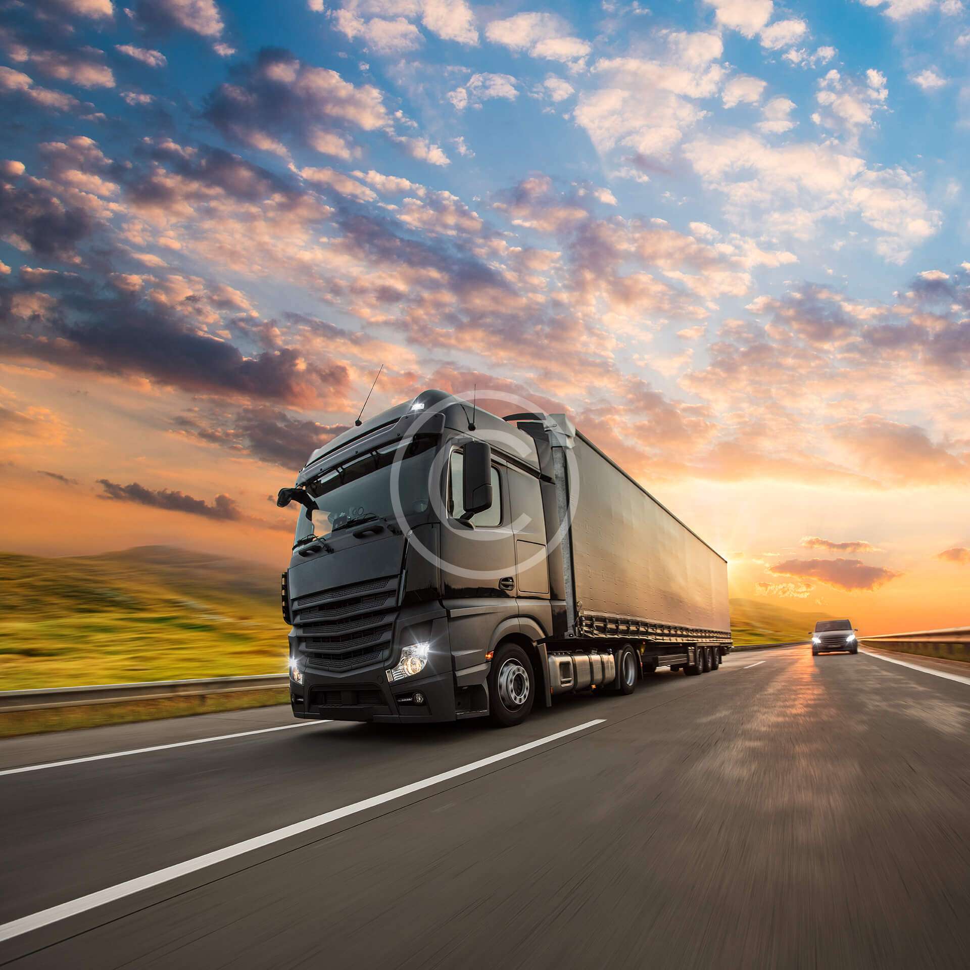 Professional Transport Services